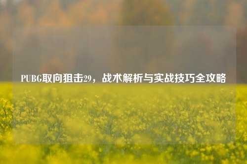 PUBG取向狙击29，战术解析与实战技巧全攻略