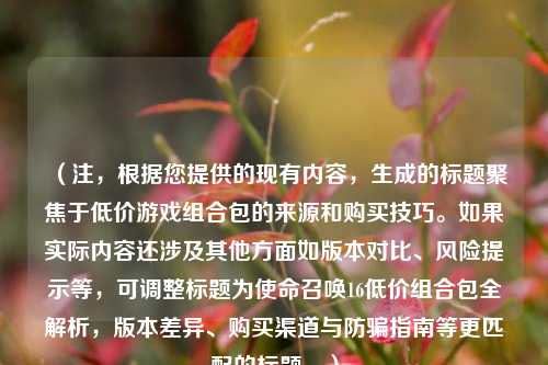 （注，根据您提供的现有内容，生成的标题聚焦于低价游戏组合包的来源和购买技巧。如果实际内容还涉及其他方面如版本对比、风险提示等，可调整标题为使命召唤16低价组合包全解析，版本差异、购买渠道与防骗指南等更匹配的标题。）