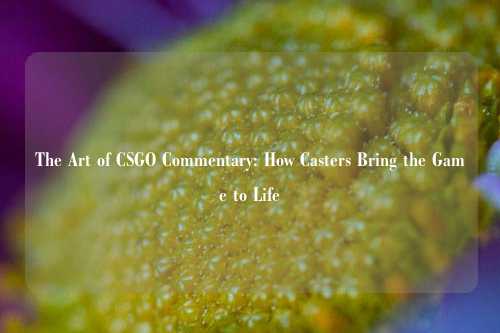 The Art of CSGO Commentary: How Casters Bring the Game to Life